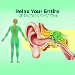 Ear Treatment Cream Ointment